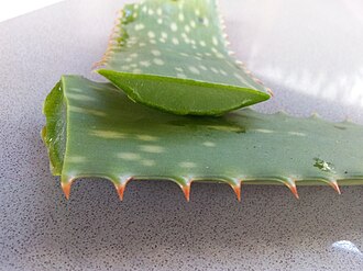 Jugo de aloe vera