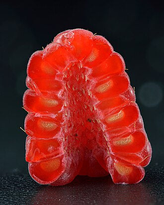 Aceite de frambuesa