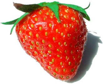 Fresa