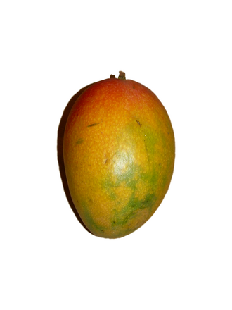 Manteca de mango