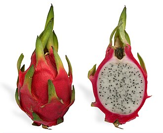 Extracto de pitaya