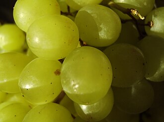Aceite de uva